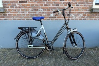 Gazelle Eclipse Limited Edition