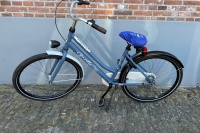Gazelle Miss grace R3