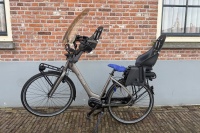 Cortina Common family