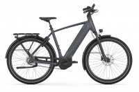 Gazelle Ultimate C5+