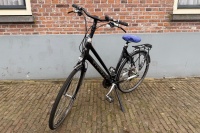 Gazelle Ultimate S2 (carbon)