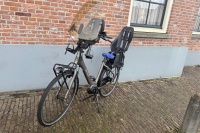 Cortina Common family