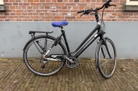 Gazelle Ultimate S2 (carbon)