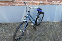 Gazelle Miss grace R3