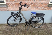 Cortina Common family