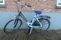 Gazelle Chamonix plus