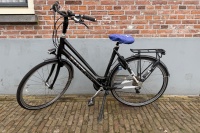 Gazelle Ultimate S2 (carbon)