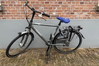 Gazelle Orange C7+