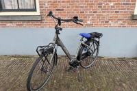 Cortina Common family