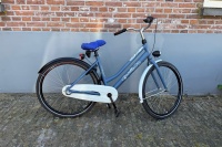 Gazelle Miss grace R3