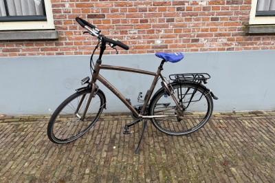 Gazelle Chamonix T24