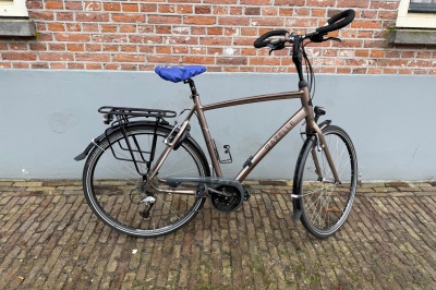 Gazelle Chamonix T24