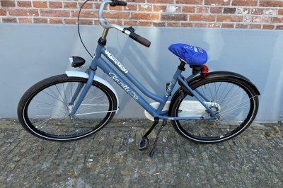 Gazelle Miss grace R3