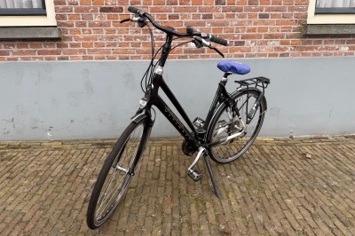 Gazelle Ultimate S2 (carbon)