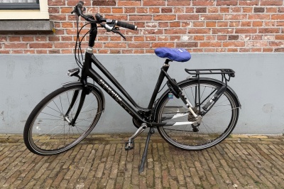 Gazelle Ultimate S2 (carbon)