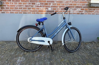 Gazelle Miss grace R3