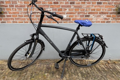 Gazelle Vento C7